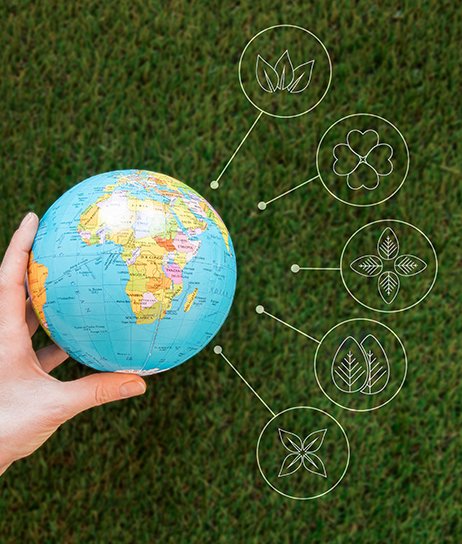 Adibodh Foundation : Bridging Wisdom and Innovation for a Better Tomorrow